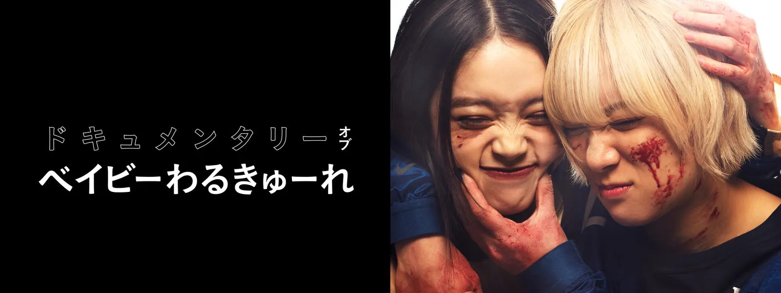 U-NEXT おすすめドキュメンタリー作品ポスター